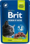 Steriliseeritud kasside toit Brit Premium lambalihaga 100g