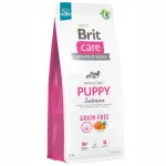 Brit Care teraviljavaba kuivkoeratoit kutsikatele, 12 kg