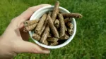 Piimakarva k&otilde;rvetised 100 g SuperFoods