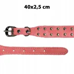 FAMA koera kaelarihm, 40 x 2,5 cm, D-57852
