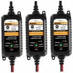 12V mootoriratta aku laadija 800mA automaatne desulfitseerija