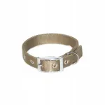 DINGO Tape Extra koera kaelarihm, 3,0x75 cm, khaki