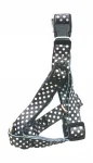 Koera jalutusrihm hallide t&auml;ppidega, 1,6 x 25&ndash;40 cm