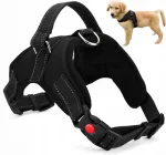 Koera rakmed Strong Light S, 50&ndash;62 cm, survevabad