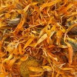 Kuivatatud saialillelilled 100 g, Champi, n&auml;riliste ja j&auml;neste toiduks