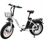 Kokkupandav elektrijalgratas CT20, 1000W, Samsung 20Ah, 45 km/h, 20"x4.0