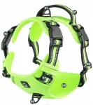 Koera rakmed PawsGuard Pro, keskmised, helerohelised, M suurus