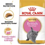 Kuiv kassitoit kassipoegadele ROYAL CANIN British Shorthair, 2 kg