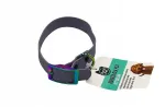 Veekindel ja vastupidav koera kaelarihm Activ Pet, hall, 40 cm, M suurus