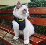 Koera ja kassi rakmed &bdquo;Bat Dog&ldquo; ilma survepunktideta, suurus M