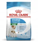 Kuivkoeratoit ROYAL CANIN MINI STARTER 4 kg