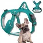 Koera rakmed GUARD HARNESS ADVENTURE, vastupidavad, reguleeritavad, mugavad, sinised, suurus S