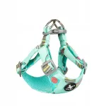 Reguleeritavad koera rihmad, suurus S