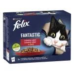PURINA Felix niiske kassitoit mitme maitsega, 12 x 85 g