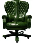 Ergonoomiline Kulik System President rehabilitatsioonitool