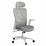 Kontoritool Sense7 Noxo, ergonoomiline, hall