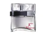 Meeste tualettvesi Salvatore Ferragamo F by Ferragamo Pour Homme 100 ml