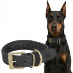 Nahast koera kaelarihm TRIXIE Pure Black, L, 47&ndash;54 cm, 40 mm