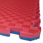 Sportliku tatami pusle, 100x100x2 cm, punane/sinine