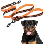 Peegeldav TRUELOVE ACTIVE PRO koerarihm, 2 m, oranž, suurus L