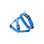 GUARD ENERGY koera rakmed, sinised, S, topeltsidemed