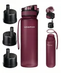 Aquaphor City 0,8 l burgundia tooniga filtriga pudel, 3 vahetatava filtriga