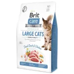 BRIT Care Large Fresh Duck, Chicken kassitoit 2 kg