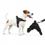 V&auml;ike must koera rakmed, sobib kokerspanjelile, prantsuse buldogile, beagle'ile, suurus S