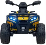 Laste elektriauto BRP, 24V, 800W, 4x4, maastikukorras