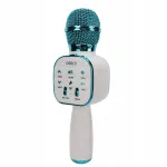 Juhtmevaba mikrofon DS813 koos Bluetoothi ja kaja efektidega