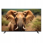 Televiisor Kiano Elegance 55&Prime; VIDAA, D-LED, DVB-T2, S2