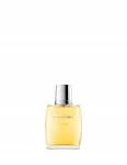 Burberry For Men tualettvesi meestele 100 ml