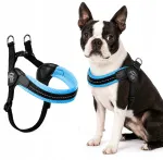 TRE PONTI sinised survet mittetekkivad Jack Russell m&otilde;&otilde;dus 43&ndash;58 cm koera rakmed, Itaaliast