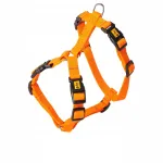 Koera rakmed Dingo Guard Energy, oranžid, suurus S, 4 pandlaga