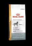 Kuiv toit Royal Canin Golden Retriever t&auml;iskasvanud koertele, 16 kg
