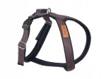 Puuvillased koera rakmed amiplay Strong Braces Grand, pruunid, S suurus