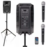 Juhtmevaba k&otilde;lar TONSIL ZP 12 USB, Bluetoothi, SD, AUX, FM-iga, 2 UHF mikrofoniga, laadimisjaam