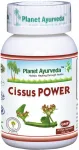 Toidulisand Cissus power 500 mg, 60 kapslit