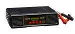 Automaatne laadimisjaam BPower YBC-HF4825A, 12/24/36/48V, 25A