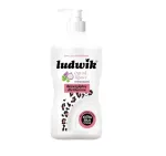 Ludwik viigimaitseline n&otilde;udepesuvahend, 0,75 l