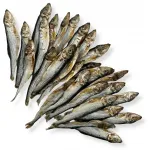 Kuivatatud sprotid kassidele ja koertele, 200 g