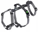 Koera anti-lokutus valjad KERBL Miami hallid, 64&ndash;100 cm