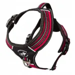 Koera rakmed 3X-SPORT, punased, suurus M