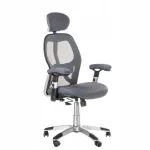 Kontoritool CorpoComfort BX-4144, hall, ergonoomiline