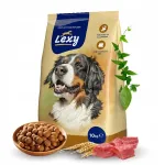 Kuivtoit koertele LEXY ACTIVE Vitamins 10 kg