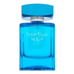 Meestele m&otilde;eldud tualettvesi Perry Ellis Aqua 100 ml