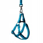 Happet Soft Style sinised koerte rakmed, suurus L, 2,0 cm