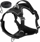 Koera rakmed Hemiks, reguleeritavad, peegeldavad, mustad, suurus L, A86