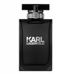 KARL LAGERFELD Pour Homme meeste tualettvesi EDT 50 ml