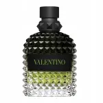 Meeste tualettvesi Valentino Uomo Born In Roma Green Stravaganza EDT 100 ml